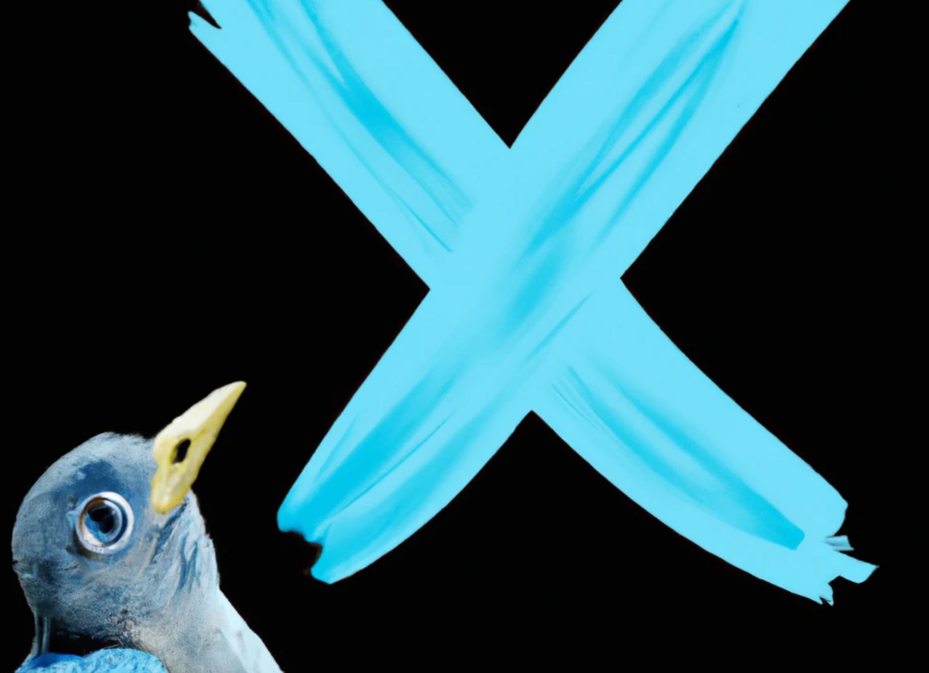A blue bird staring at the painting of a blue X 