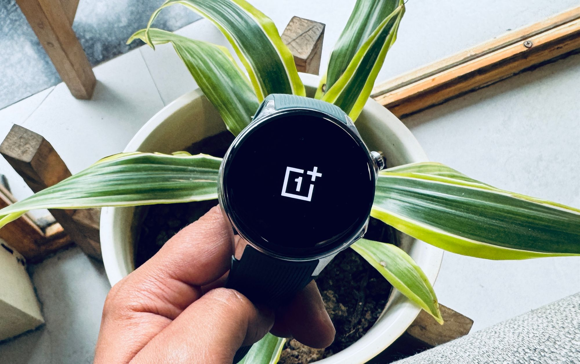 OnePlus Watch 2 held in hand against a plant